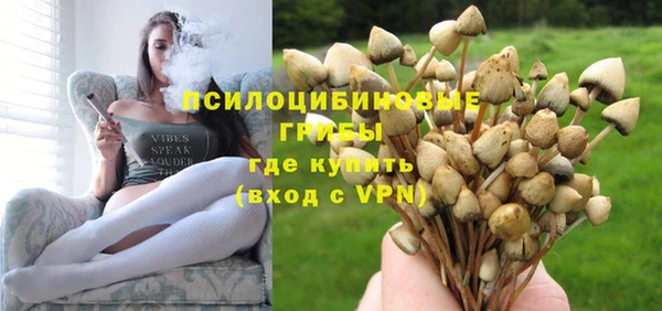 МДПВ Арсеньев